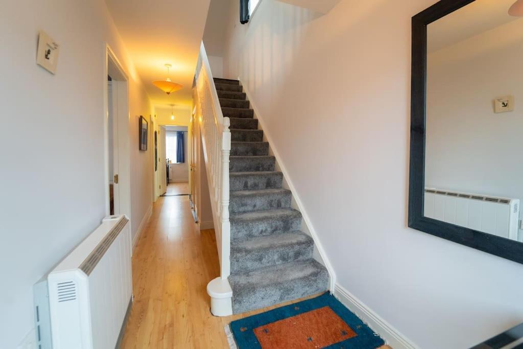The Haven Dingle, Self Catering Accommodation Exteriör bild